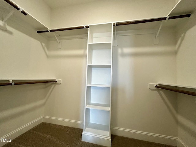 spacious closet with dark colored carpet