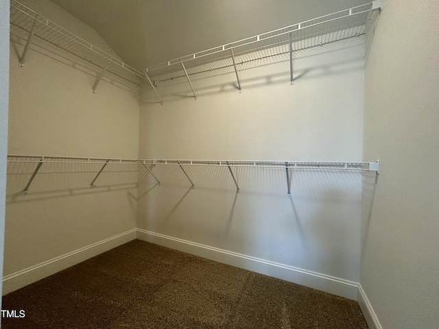 walk in closet featuring carpet floors