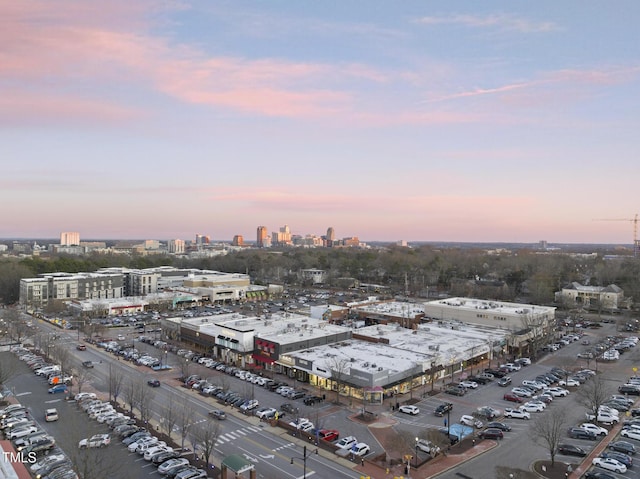 view of aerial view at dusk