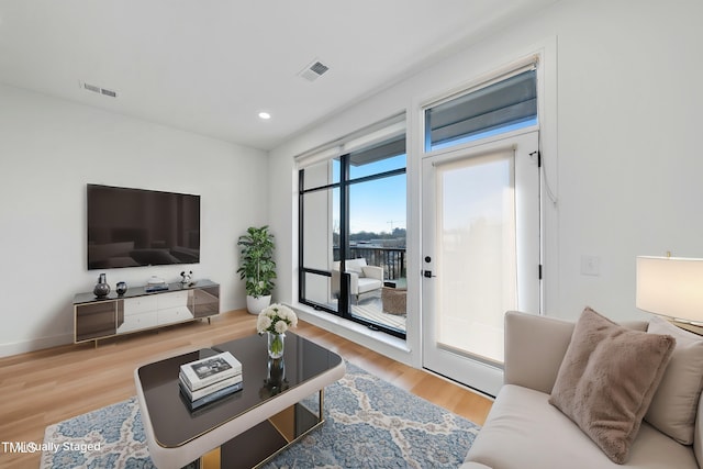 living room featuring hardwood / wood-style floors