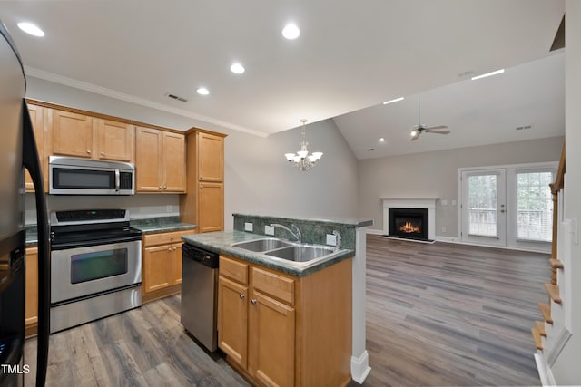 kitchen with dark hardwood / wood-style floors, a center island with sink, ceiling fan with notable chandelier, appliances with stainless steel finishes, and sink