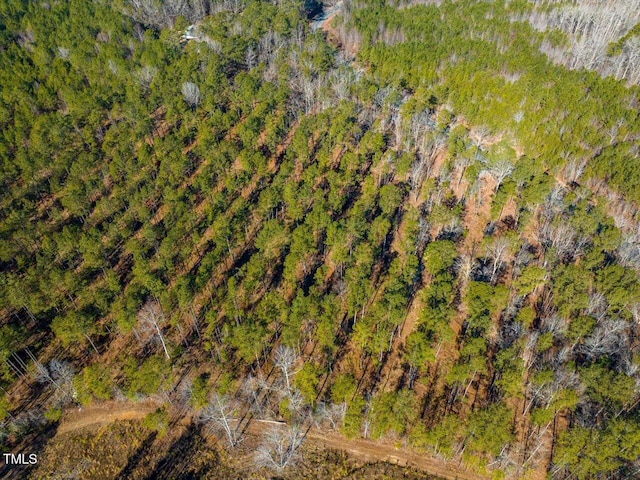 TRACT2 Robedo Rd, Mount Gilead, NC 27306