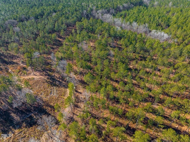 TRACT2 Robedo Rd, Mount Gilead, NC 27306
