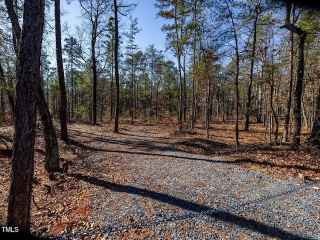TRACT2 Robedo Rd, Mount Gilead, NC 27306