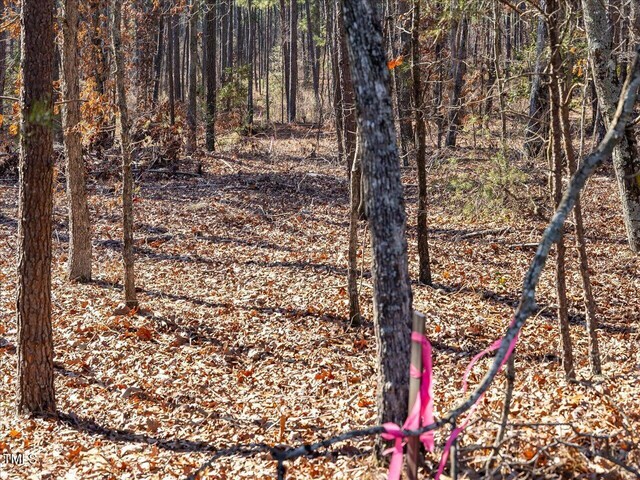 TRACT2 Robedo Rd, Mount Gilead, NC 27306