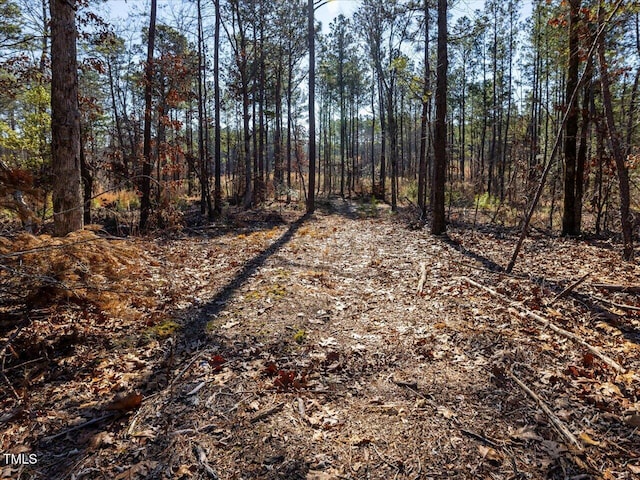 TRACT2 Robedo Rd, Mount Gilead, NC 27306