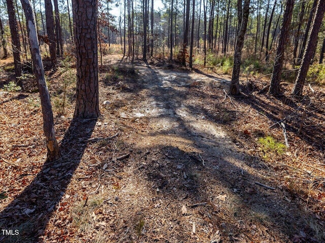 TRACT2 Robedo Rd, Mount Gilead, NC 27306
