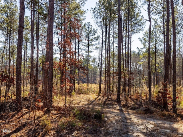 TRACT2 Robedo Rd, Mount Gilead, NC 27306