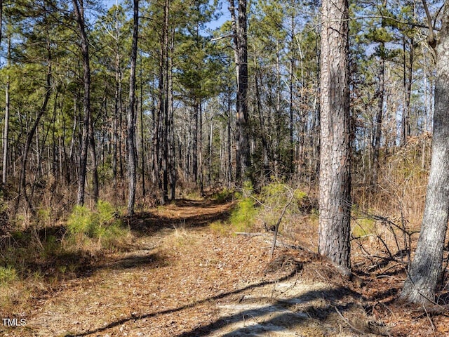 TRACT2 Robedo Rd, Mount Gilead, NC 27306