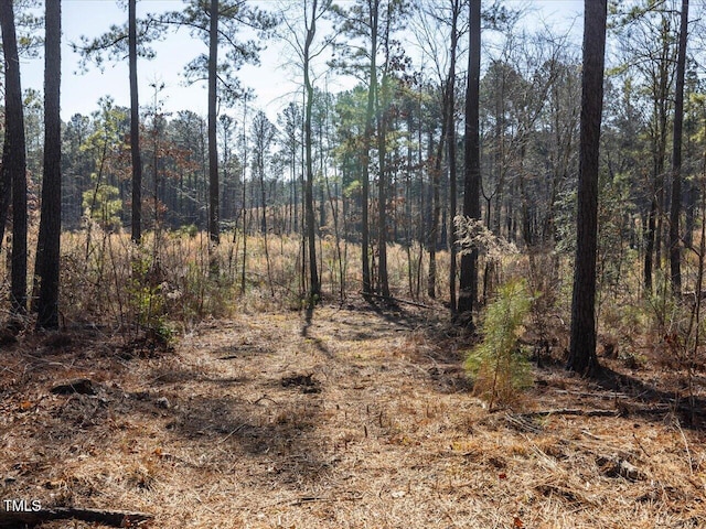 TRACT2 Robedo Rd, Mount Gilead, NC 27306