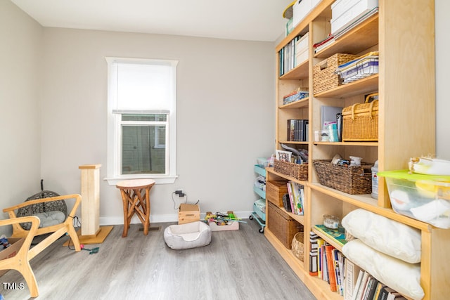 interior space featuring light hardwood / wood-style floors