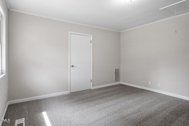 empty room with carpet flooring and crown molding