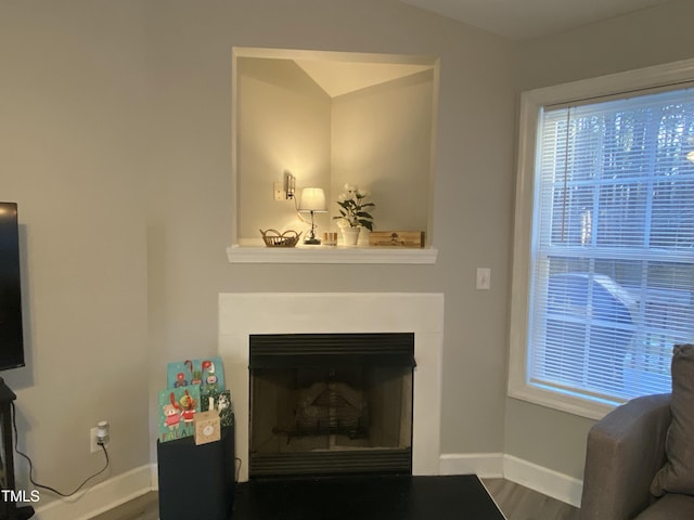 living room featuring hardwood / wood-style floors