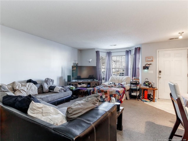 living room featuring light colored carpet and a textured ceiling