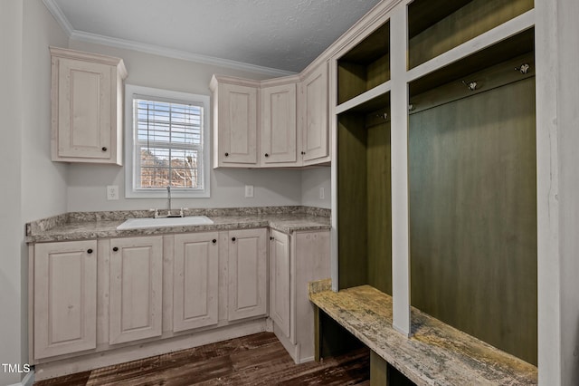 mudroom with crown molding, sink, dark wood-type flooring, and a textured ceiling