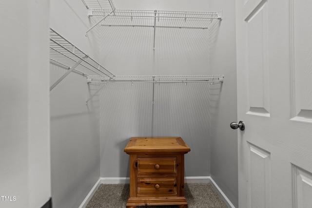 spacious closet with carpet flooring