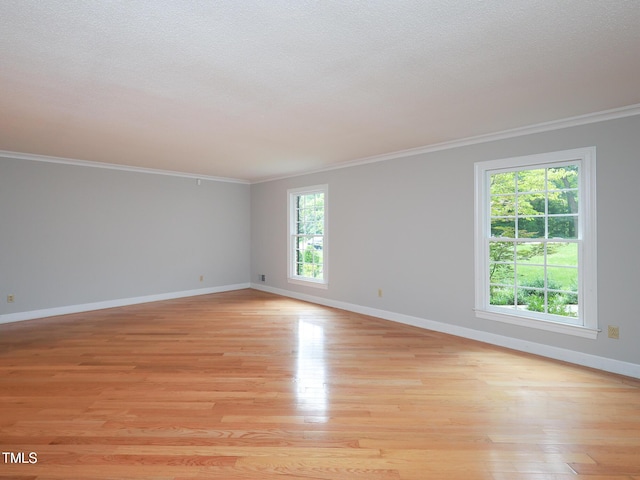 empty room featuring a wealth of natural light, a textured ceiling, and light wood-type flooring