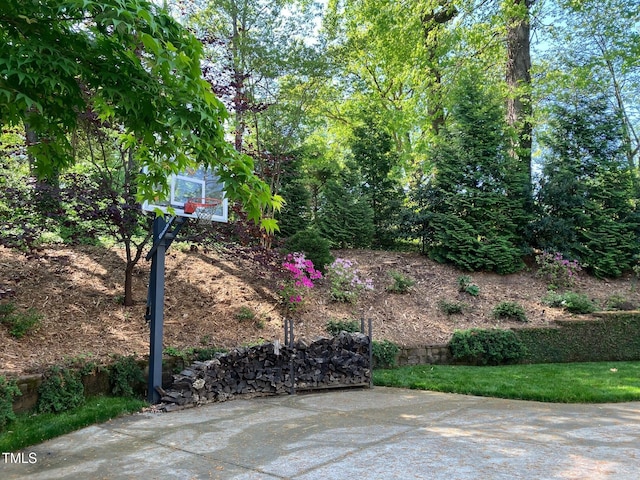 view of basketball court with basketball court