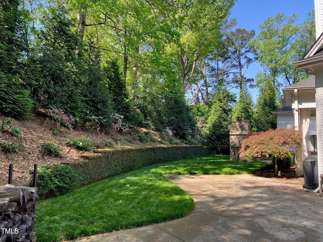 view of yard with a patio area
