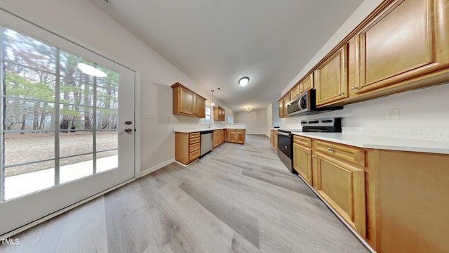 kitchen with light hardwood / wood-style floors, pendant lighting, and stainless steel appliances