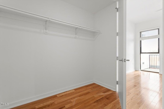 spacious closet with light wood-style flooring