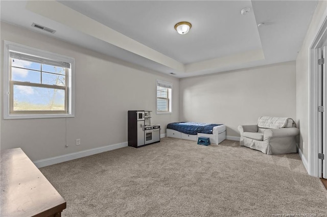 bedroom with carpet flooring and a raised ceiling