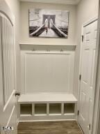 mudroom featuring dark hardwood / wood-style flooring