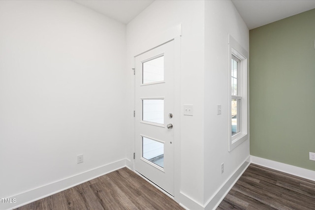 foyer entrance featuring dark wood-type flooring