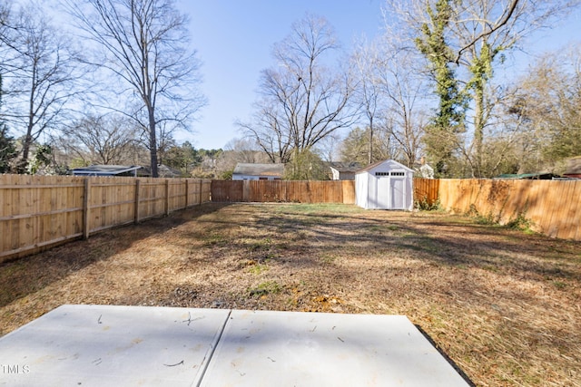 view of yard featuring a patio area and a storage unit