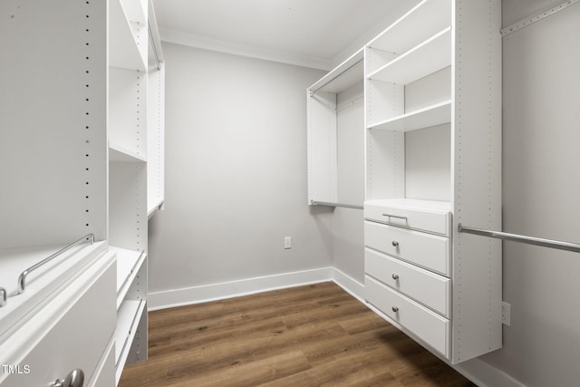 spacious closet featuring dark hardwood / wood-style floors