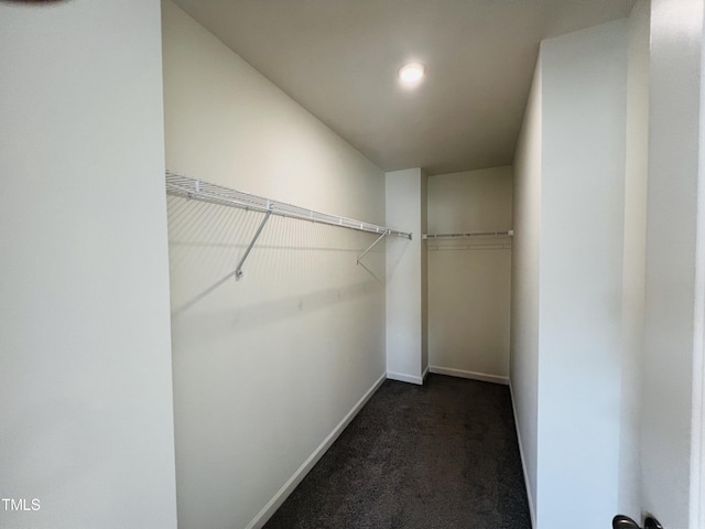 walk in closet with dark colored carpet