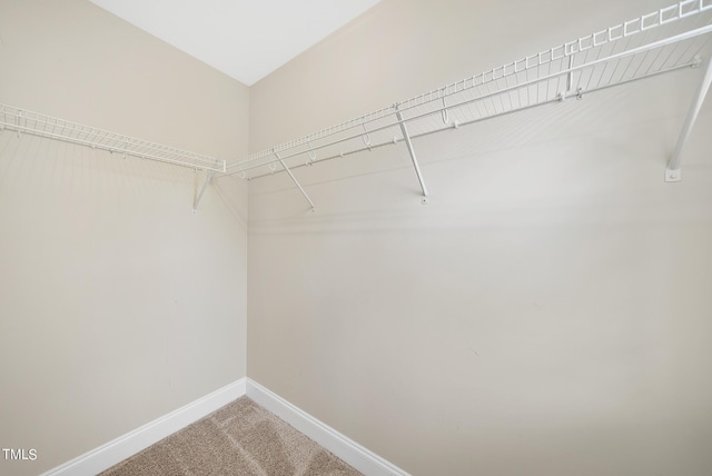 walk in closet with carpet