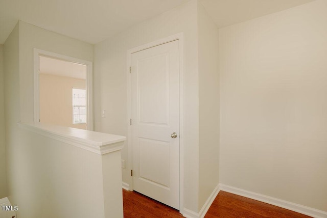 hallway featuring dark wood-type flooring