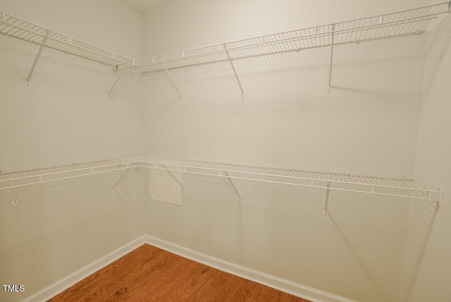 spacious closet with hardwood / wood-style floors