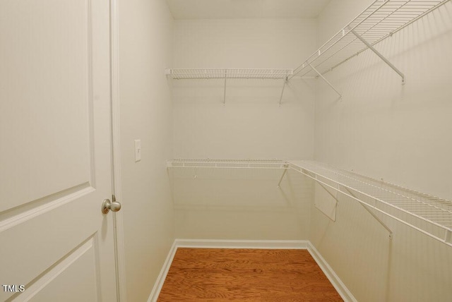 walk in closet featuring wood-type flooring