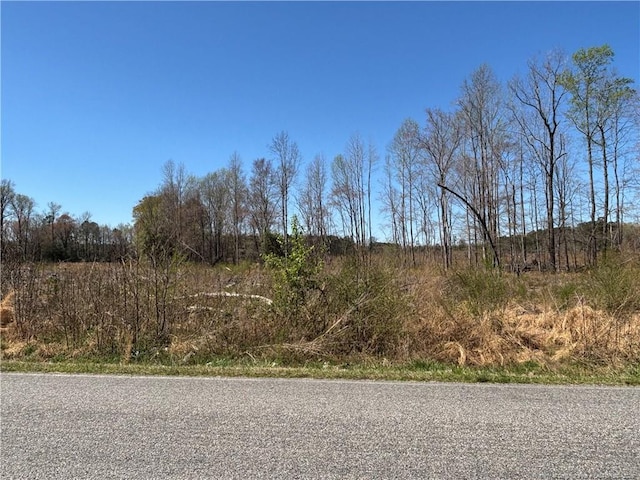 1512 Cox Ave, Rocky Mount, NC 27801 - photo 2
