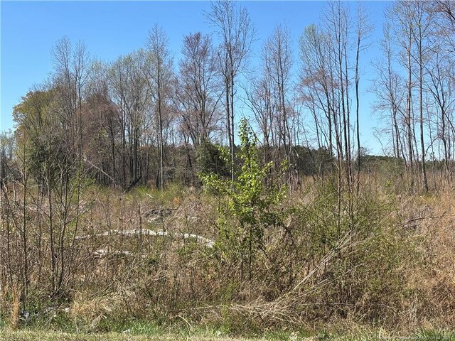 1512 Cox Ave, Rocky Mount, NC 27801 - photo 3