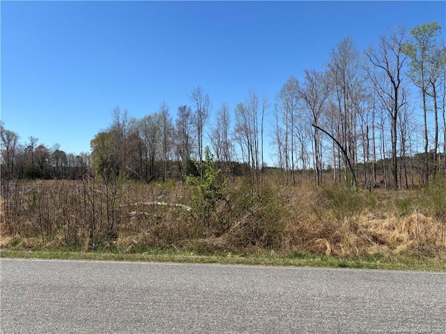1512 Cox Ave, Rocky Mount, NC 27801 - photo 1