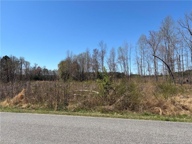 1512 Cox Ave, Rocky Mount, NC 27801 - photo 4