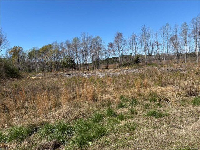 1512 Cox Ave, Rocky Mount, NC 27801 - photo 6