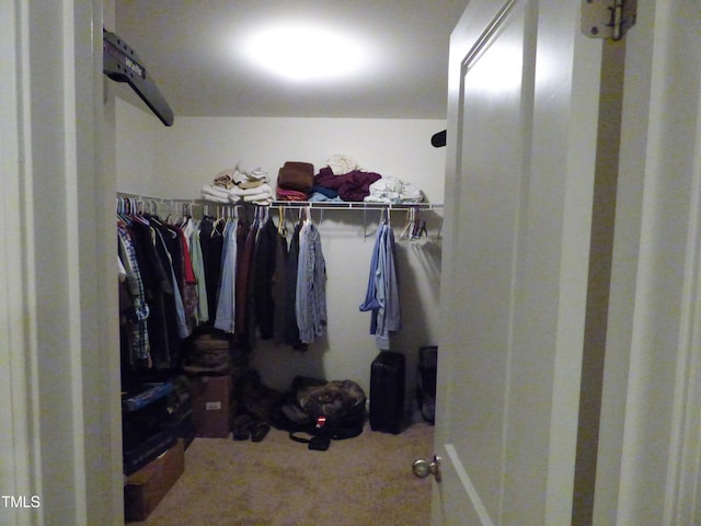 view of walk in closet