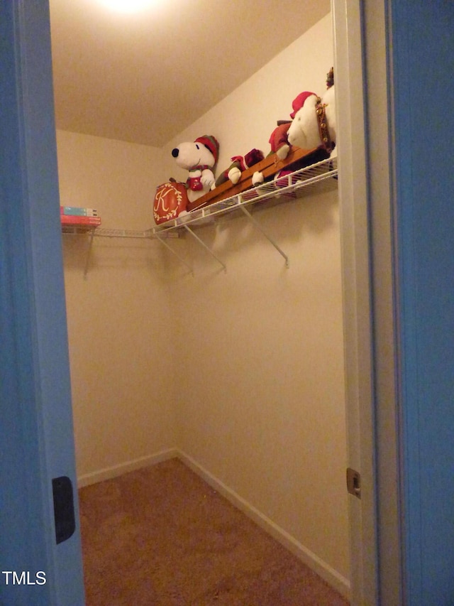 view of walk in closet