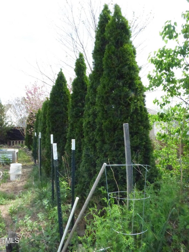 exterior space