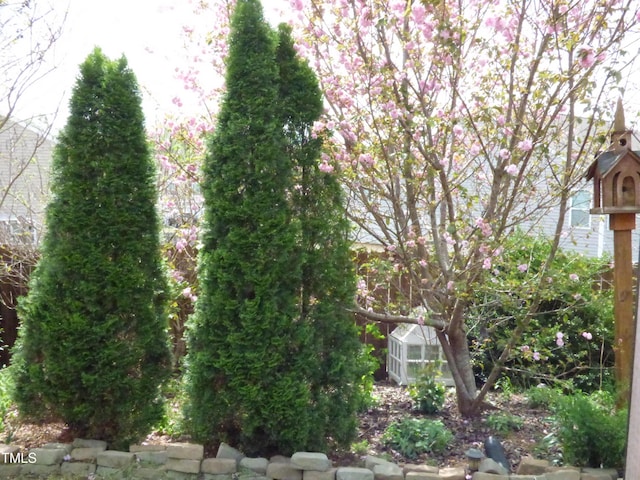 view of yard featuring an outbuilding and a greenhouse