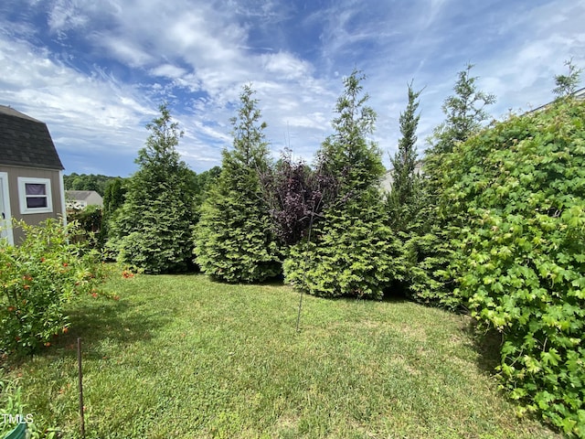 401 Lawton Dr, Haw River, NC 27258 - view of grassy yard