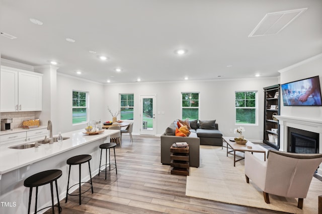 living room with sink, light wood-type flooring, and crown molding