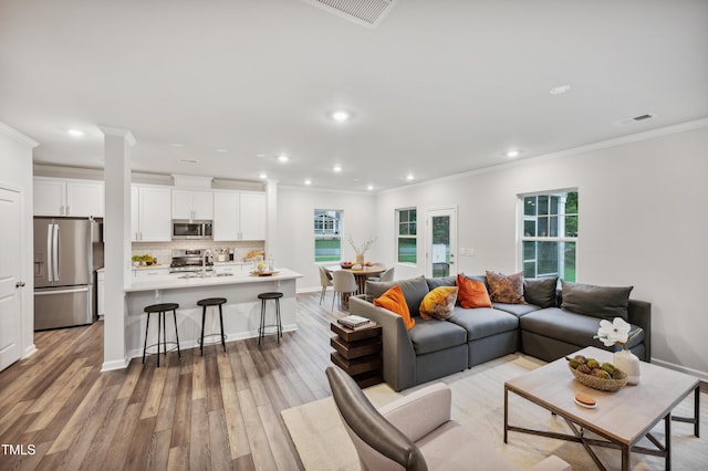 living room with sink, ornamental molding, and light hardwood / wood-style floors