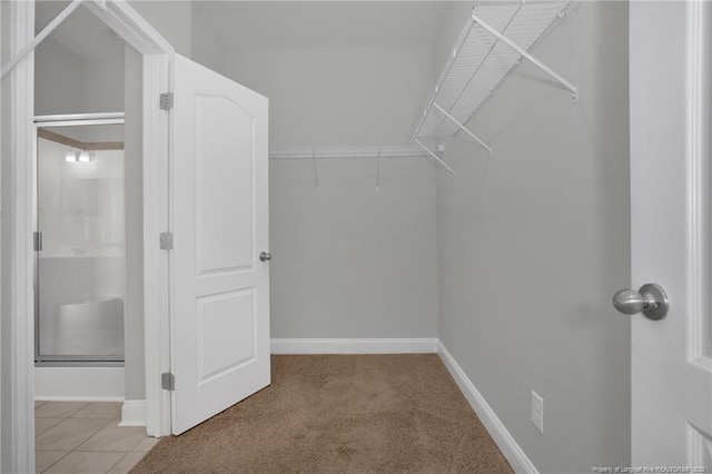 walk in closet with light carpet