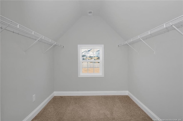 walk in closet featuring lofted ceiling and carpet floors