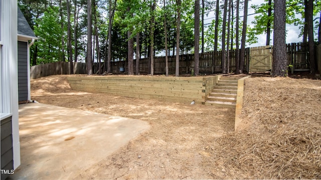 view of yard with a patio area